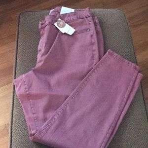 Lane Bryant Skinny Jeans